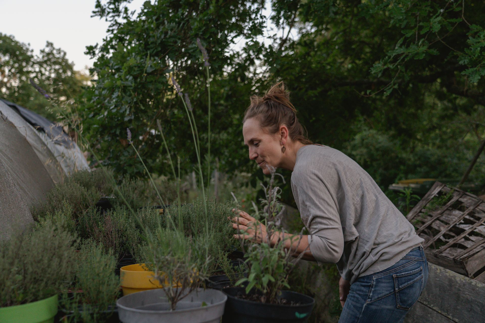 Hannah Stiegler dans les plantes pour un accompagnement naturel et Fleurs de Bach