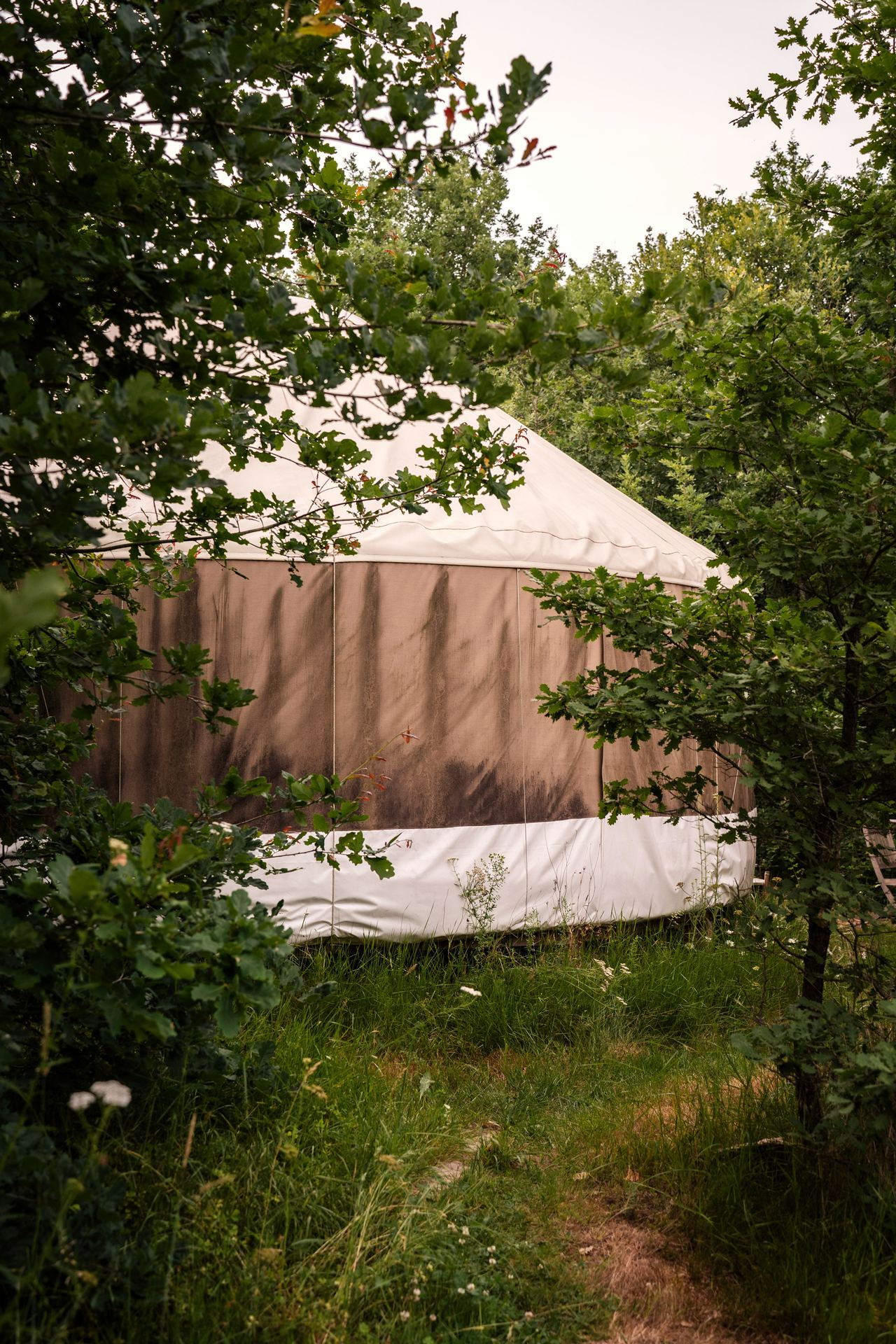 La yourte nichée dans la nature, lieu d'accueil des séances en Dordogne